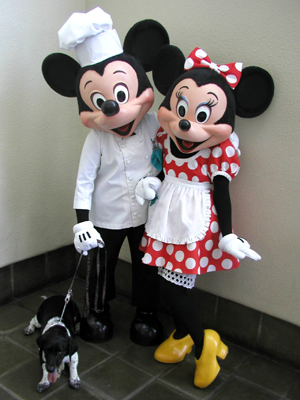 chef mickey  20.jpg